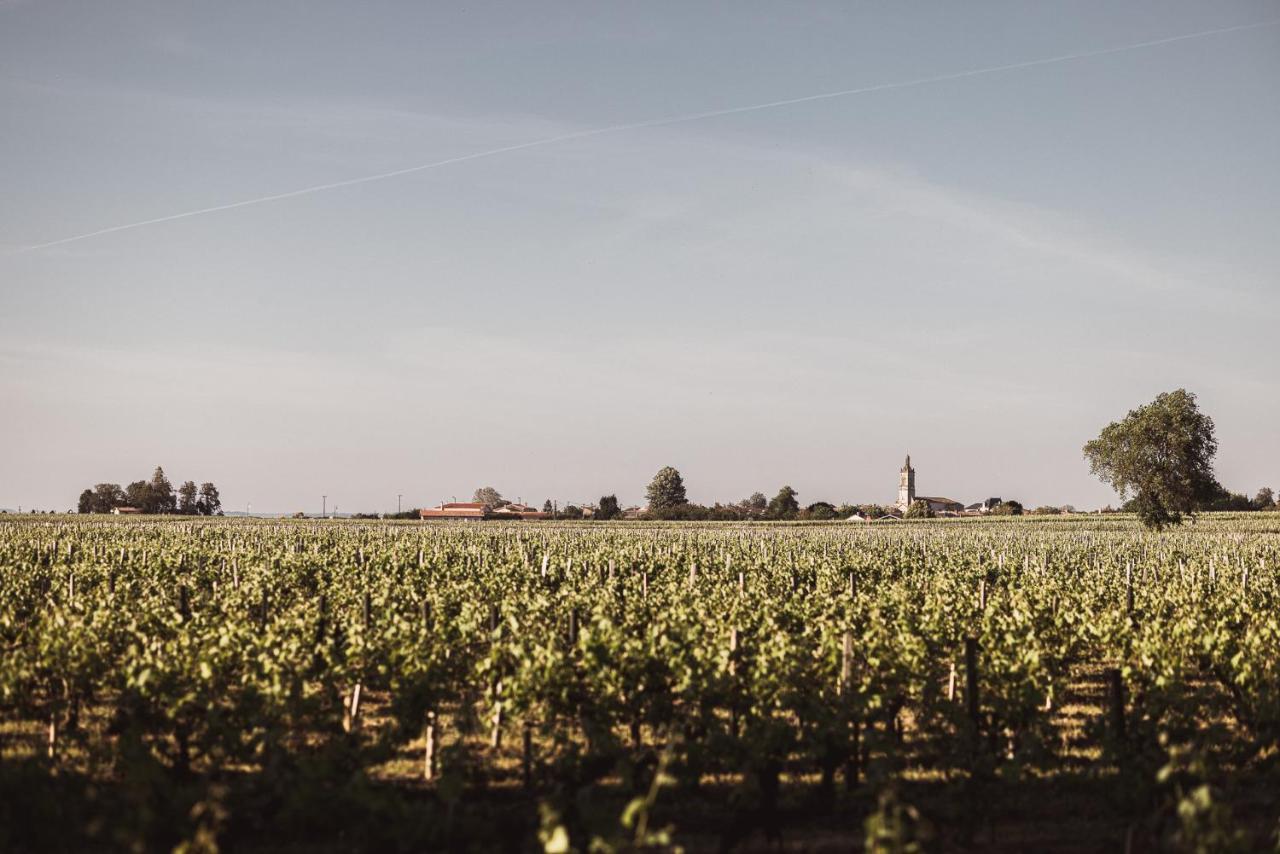 Chateau Laffitte Carcasset Saint Estephe Bagian luar foto